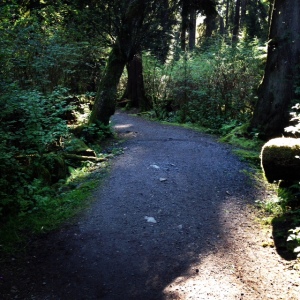 Roche Trail